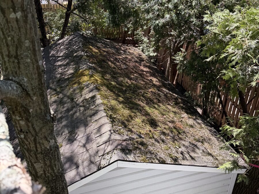 Roof Soft Wash before — All Pro Exterior Cleaning, Ocean & Monmouth County NJ