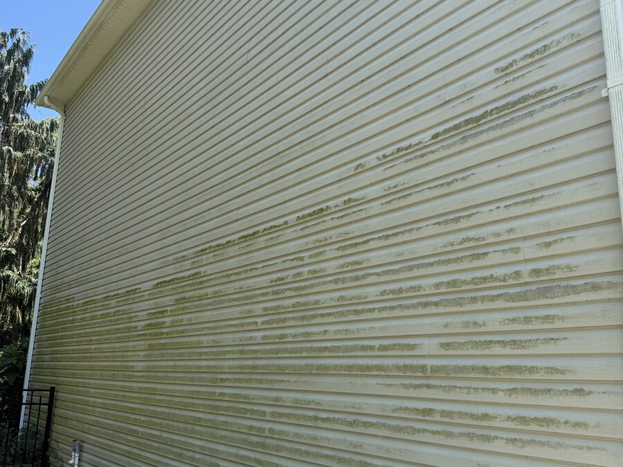 Siding Soft Wash before — All Pro Exterior Cleaning, Ocean & Monmouth County NJ
